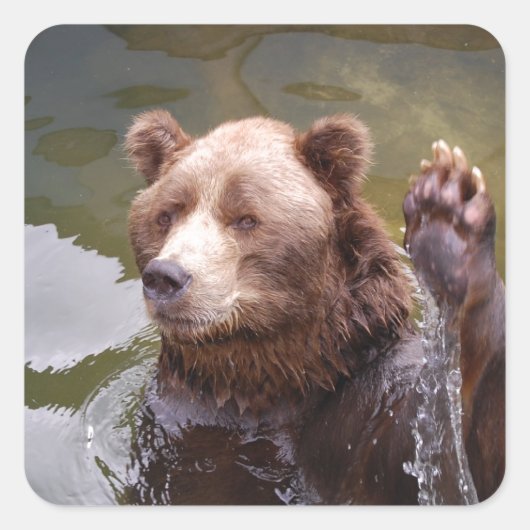 Stickers Ours Brown de bain (Devant)