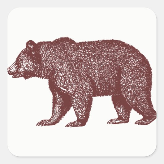 Stickers Ours Grizzly (Devant)