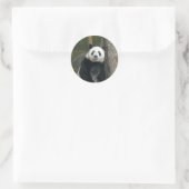 Stickers Ours Panda géant (Sac)