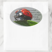 Stickers Ovale de Bonne chance Ladybug (Sac)