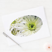 stickers ovales Chrysanthemum blanc (Enveloppe)