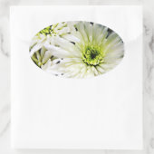 stickers ovales Chrysanthemum blanc (Sac)
