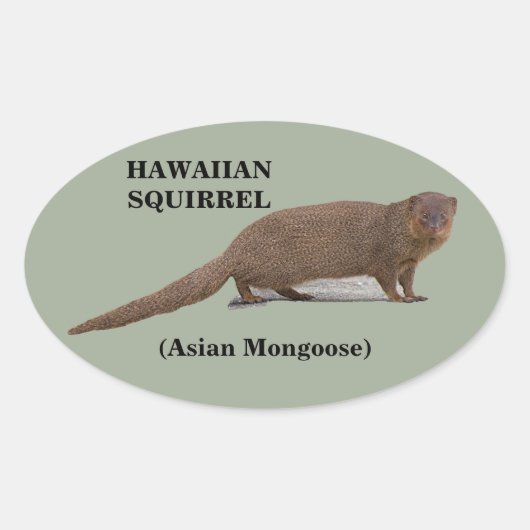 Stickers ovales hawaïens (mangoustes asiatiques) (Devant)