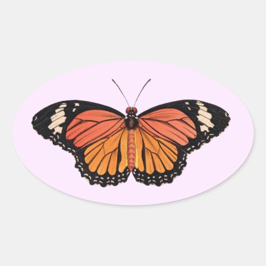 Stickers Ovaux papillon monarque (Devant)