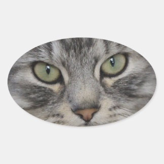 Stickers Ovaux pour chats perses en argent