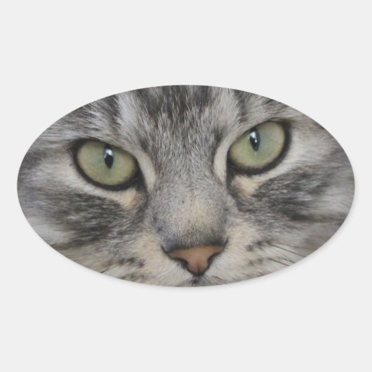 Stickers Ovaux pour chats perses en argent (Devant)