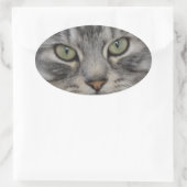 Stickers Ovaux pour chats perses en argent (Sac)