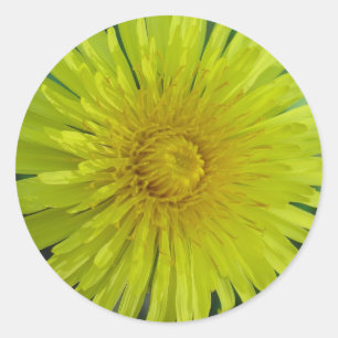 Stickers - Paardenbloem