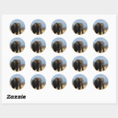Stickers Pachyderm (Feuille)