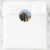 Stickers Pachyderm (Sac)