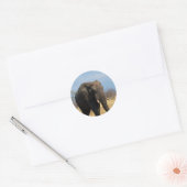 Stickers Pachyderm (Enveloppe)