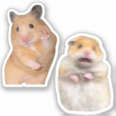 Stickers Paix + Scared Hamster Meme (Recto)