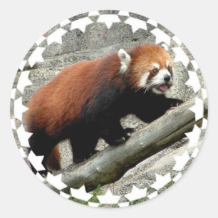 Stickers Panda Rouge