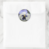 Stickers Pansy Periwinkle (Sac)