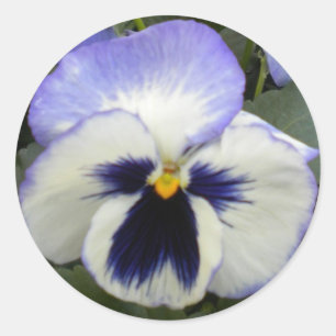 Stickers Pansy Periwinkle
