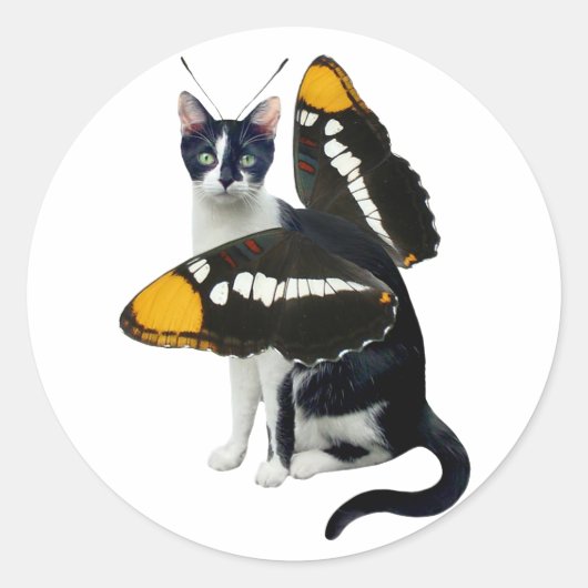 Stickers papillon (Devant)