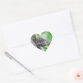 Stickers Papillon (Enveloppe)