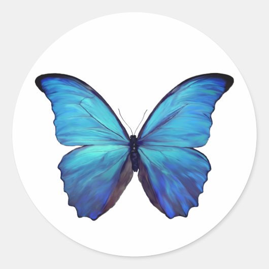 Stickers Papillon bleu Morpho (Devant)