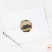 Stickers papillon de l'amiral rouge (Enveloppe)