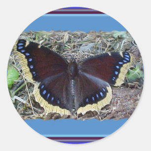 Stickers Papillon en deuil