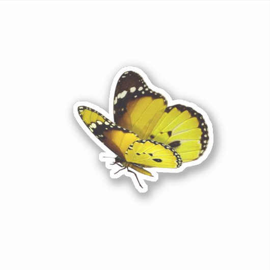Stickers papillon jaune (Devant)