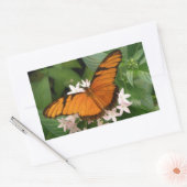 Stickers Papillon Julia orange (Enveloppe)