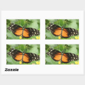 Stickers Papillon long tigre (Feuille)