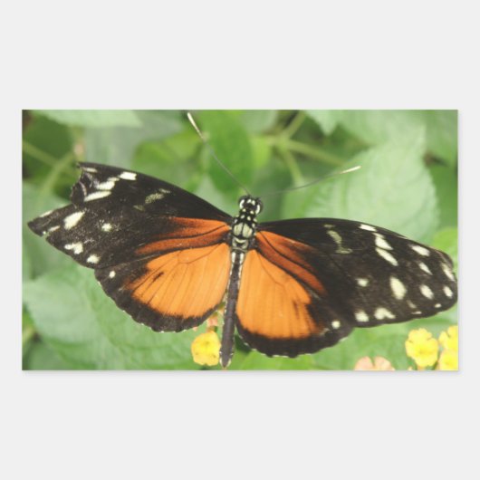 Stickers Papillon long tigre (Devant)