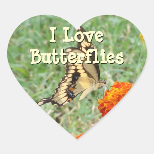 Stickers papillon Swallowtail (Devant)