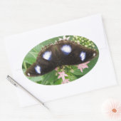 Stickers Papillon tacheté bleu (Enveloppe)