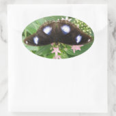 Stickers Papillon tacheté bleu (Sac)