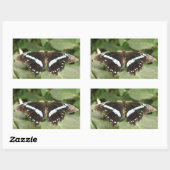 Stickers Papillon tropical noir et blanc (Feuille)