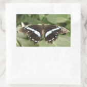 Stickers Papillon tropical noir et blanc (Sac)