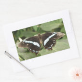 Stickers Papillon tropical noir et blanc (Enveloppe)