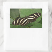 Stickers Papillon Zebra Longwing (Sac)