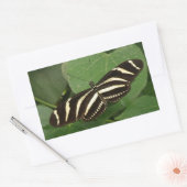 Stickers Papillon Zebra Longwing (Enveloppe)