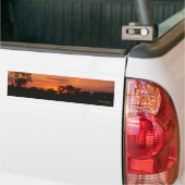 Stickers pare-chocs Acacia Sunset (Sur camion)