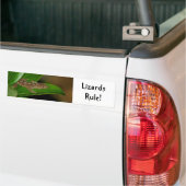 Stickers pare-chocs de règle Lizards (Sur camion)