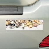Stickers pare-chocs des coquillages (En voiture)