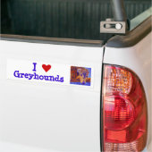 Stickers pare-chocs Greyhound (Sur camion)