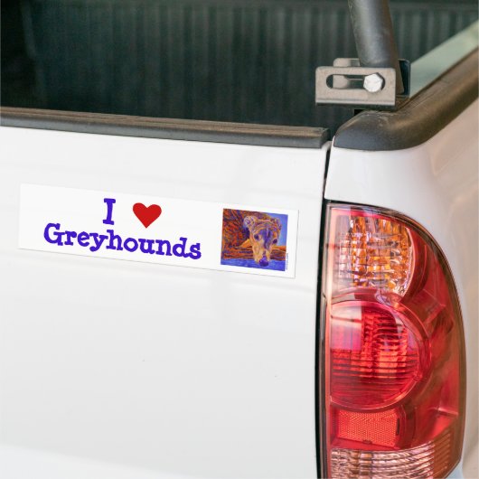 Stickers pare-chocs Greyhound (Sur camion)