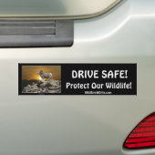 Stickers pare-chocs PET & WILDLIFE PROTECTION (En voiture)