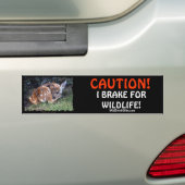 Stickers pare-chocs pour animaux domestiques et de (En voiture)