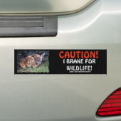 Stickers pare-chocs pour animaux domestiques et de (En voiture)