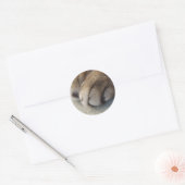 Stickers Paw Cat (Enveloppe)