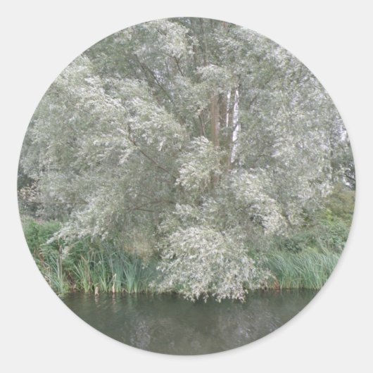 Stickers Paysage d'arbre blanc et de rivière (Devant)