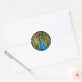 Stickers Peacock (Enveloppe)