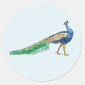 Stickers Peacock (Devant)