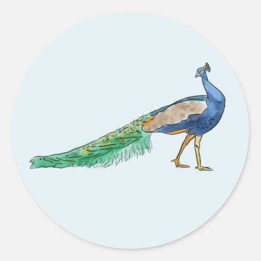 Stickers Peacock (Devant)