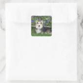 Stickers Pembroke Welsh Corgi (Sac)
